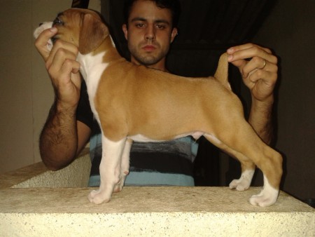 Jack - Guarulhos - SP